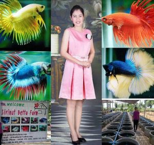 Famous Fish Breeder