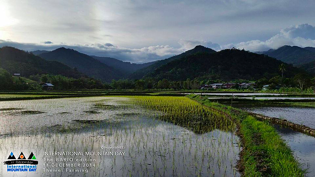 Bario’s scenic view