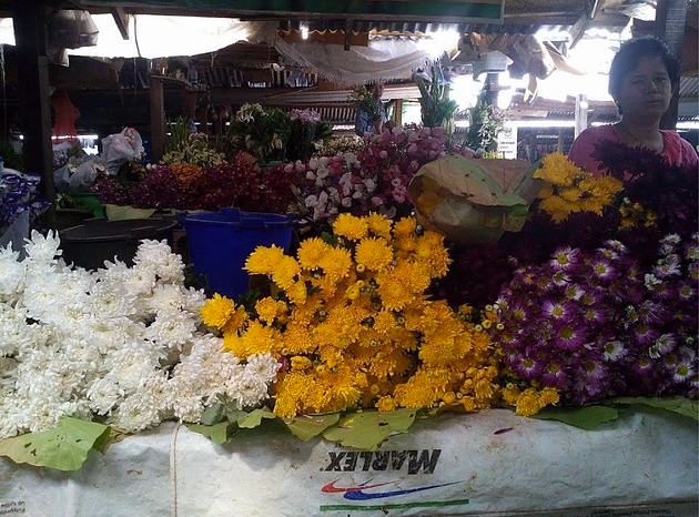 Operating a flower shop in Myanmar