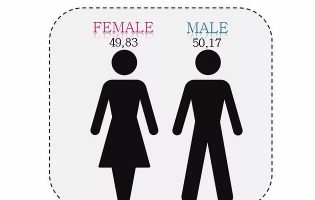 Striking the Right Balance Between Women and ICT